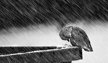 圣大管业 圣大管业